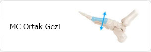 MC Ortak Gezi