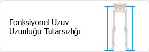 Uzuv Uzunluğu