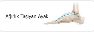 Orta Ayak Gezisi